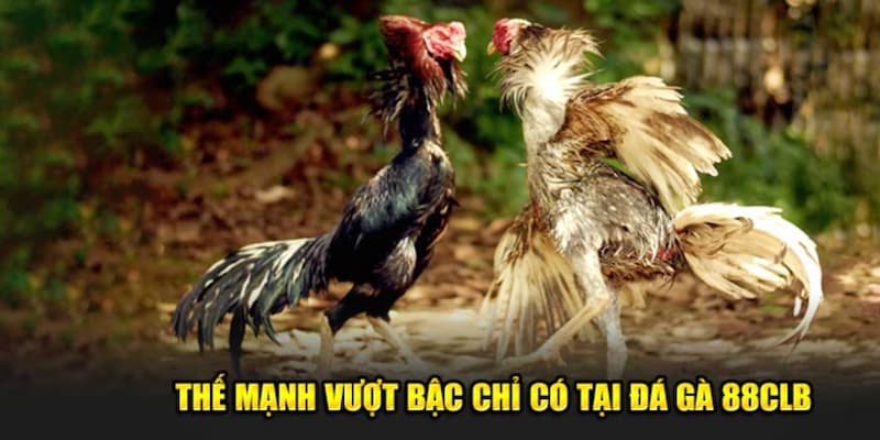 Các ưu thế vượt bậc